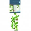 PASSIONSBLUMEN Fenstersticker